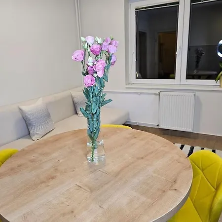 Grandpa Vojin's Cozy Corner